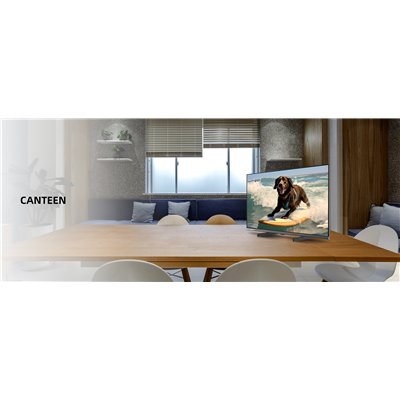 CHiQ L32M9PD - FHD LED Google TV with power bank in a beach bag, 32" (81 cm), Wifi 5G