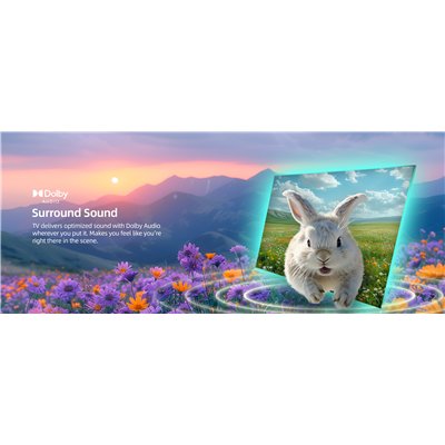 CHiQ L32M9PD - FHD LED Google TV with power bank in a beach bag, 32" (81 cm), Wifi 5G