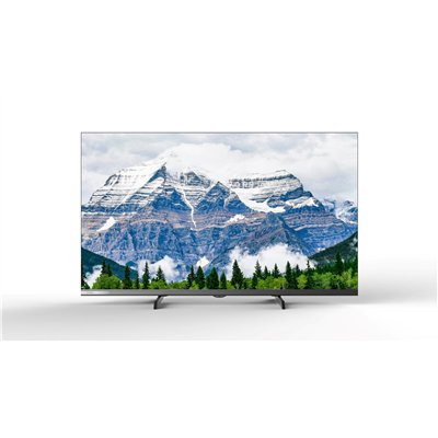 CHiQ L32M9PD - FHD LED Google TV with power bank in a beach bag, 32" (81 cm), Wifi 5G