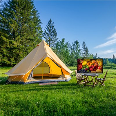 CHiQ L32M9PD - FHD LED Google TV with power bank in a beach bag, 32" (81 cm), Wifi 5G